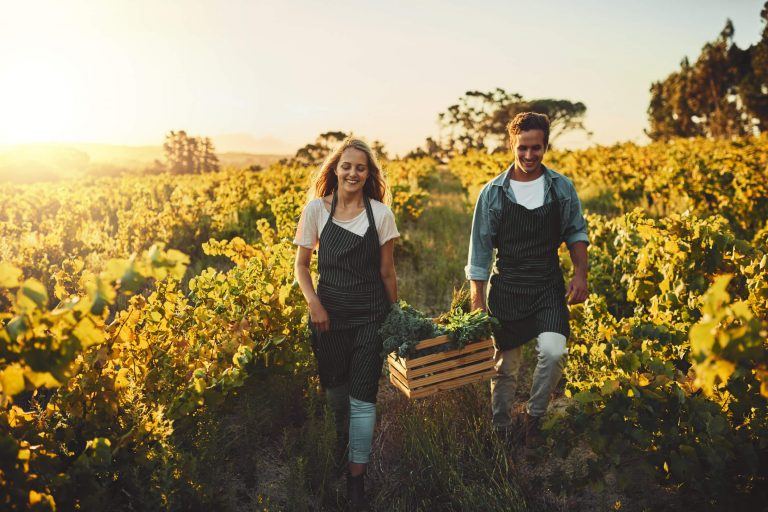 Agricultura sintrópica nos empreendimentos imobiliários? Entenda!