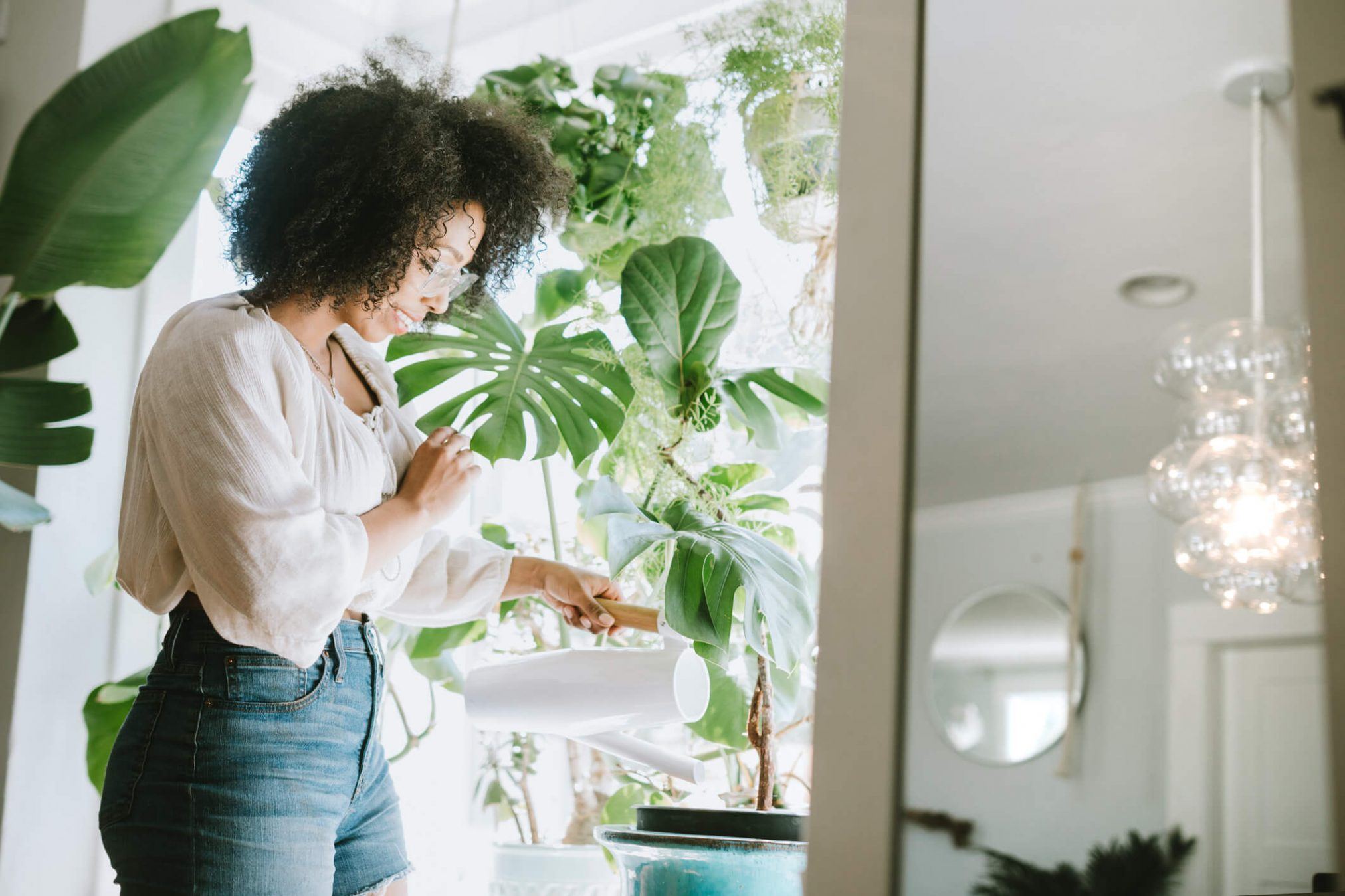 plantas em casa